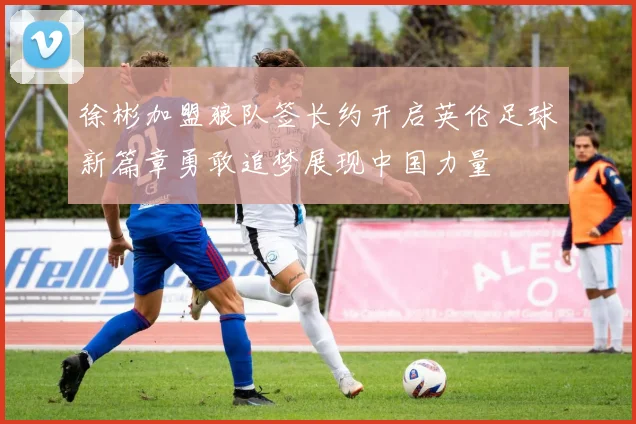 徐彬加盟狼队签长约开启英伦足球新篇章勇敢追梦展现中国力量