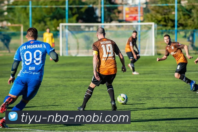 篮球赌注平台生态图