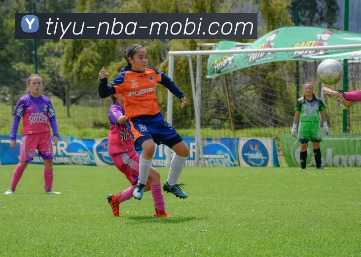 篮球赌注全站App